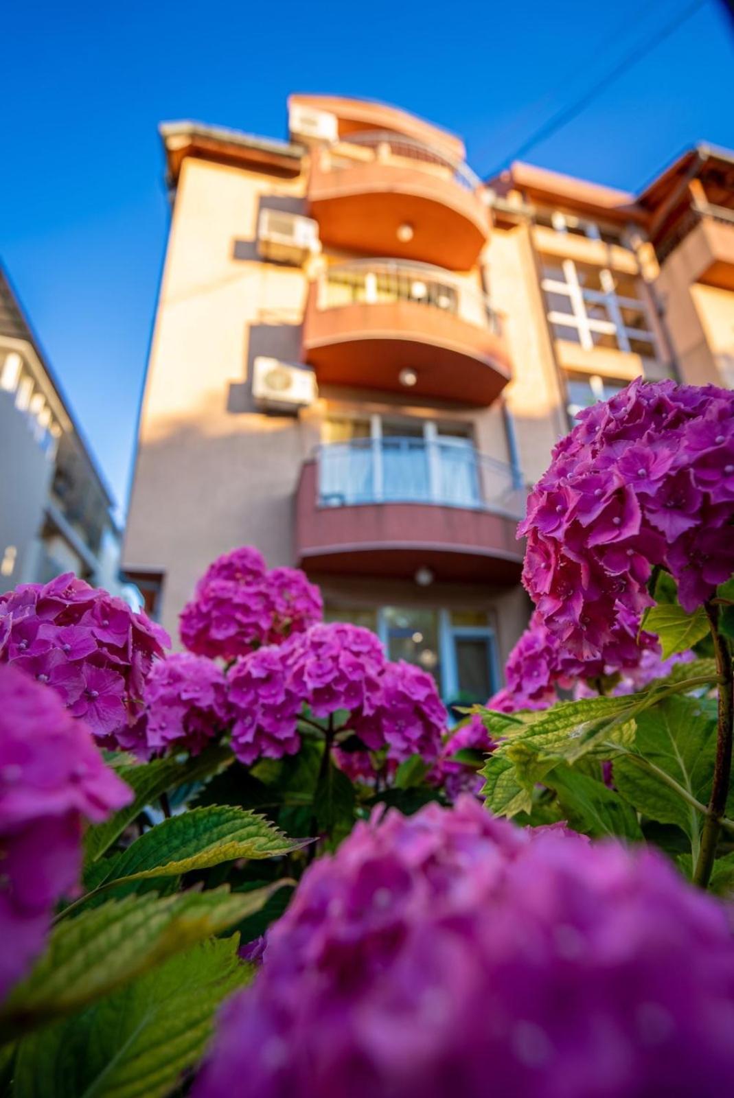 Ar Luxury Apartments Ravda Eksteriør billede